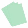 Papel Sulfite A4 210x297 100 folhas Chamequinho Verde - Imagem 2