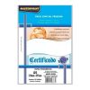 Papel Impressão Foto Matte Fosco 170gr A4 100 folhas Masterprint